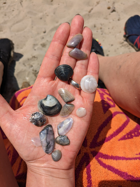 Andiamo alla spiaggia, o-o-oho-o!