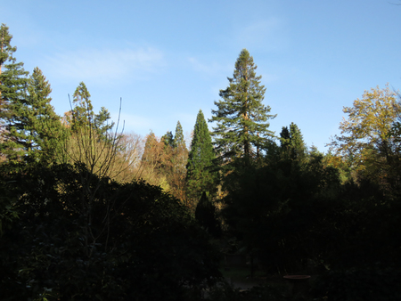 Die dürfen auch nicht fehlen