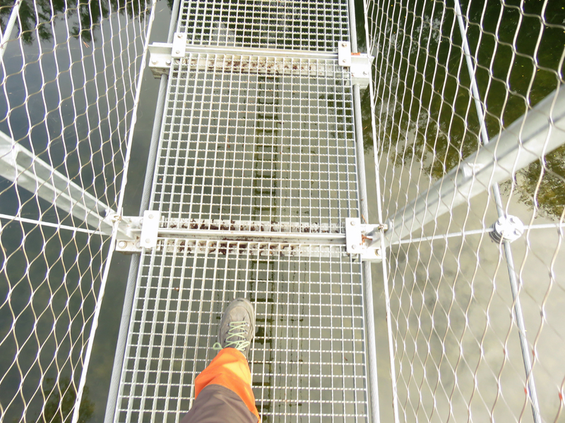 Donaufelsengrottenolme