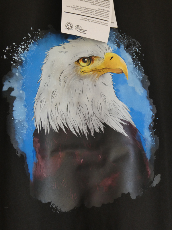 Greifvogelwarte Feldatal