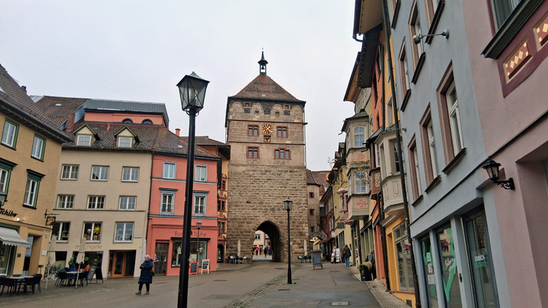Eine Labrador-Familie unter Rottweilern